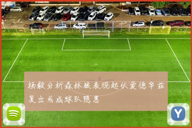 杨毅分析森林狼表现起伏爱德华兹复出或成球队隐患