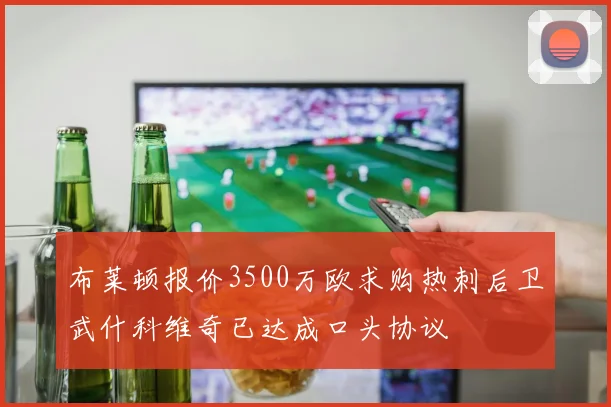 布莱顿报价3500万欧求购热刺后卫武什科维奇已达成口头协议