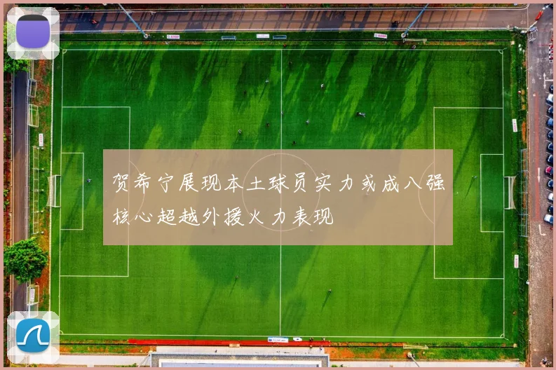 贺希宁展现本土球员实力或成八强核心超越外援火力表现